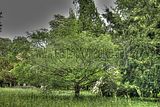 tannenfeld-sommer 2012-063